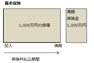 養老保険